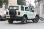 Tank 300 Time Traveler Compact SUV – Buy Direct From China | Chinese EV Qatar
