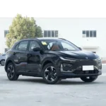 Neta X 500 – Buy Direct From China | China Electric Car Qatar - Image 5
